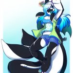 Penelope the Orca Dragon meme