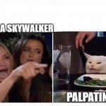 rey star wars | REY IS A SKYWALKER; PALPATINE | image tagged in woman shouting at cat | made w/ Imgflip meme maker