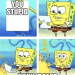 Yea No | YOU STUPID; BRUH IT FACT | image tagged in yea nope | made w/ Imgflip meme maker