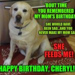 Yellow Lab | 'BOUT TIME YOU REMEMBERED MY MOM'S BIRTHDAY! SHE WOULD HAVE BEEN SAD...AND YOU NEVER MAKE MY MOM SAD. SHE FEEDS ME! HAPPY BIRTHDAY, CHERYL! | image tagged in yellow lab | made w/ Imgflip meme maker