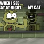 me and my cat | ME WHEN I SEE MY CAT AT NIGHT; MY CAT | image tagged in piemations fnaf 3 | made w/ Imgflip meme maker
