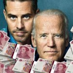 Corruption Matters