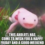wholesom axolotl | THIS AXOLOTL HAS COME TO WISH YOU A HAPPY FRIDAY AND A GOOD WEEKEND | image tagged in wholesom axolotl | made w/ Imgflip meme maker