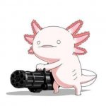 Axolotl gun meme