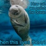 Cute Manatee wants to know | How can we pollute the oceans; when this lives there? | image tagged in baby manatee angel,manatee,ocean,pollution | made w/ Imgflip meme maker