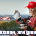 MAGA Kylie I don’t hate all Trump supporters meme