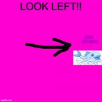 How smart are you? | LOOK LEFT!! I SAID     LEFT, IDIOT!
-_- | image tagged in blank hot pink background | made w/ Imgflip meme maker