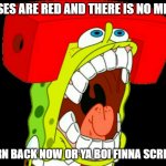 victory screech | ROSES ARE RED AND THERE IS NO MEME; TURN BACK NOW OR YA BOI FINNA SCREAM | image tagged in turn back,there is no mere,why are you still here | made w/ Imgflip meme maker