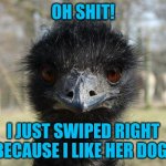 Am I the only one to do this? | OH SHIT! I JUST SWIPED RIGHT BECAUSE I LIKE HER DOG! | image tagged in bad news emu | made w/ Imgflip meme maker