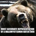 Angry bear | MOST ACCURATE REPRESENTATION OF A MALOMYOTISMON HATER EVER | image tagged in angry bear | made w/ Imgflip meme maker