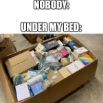 under my bed | NOBODY:; UNDER MY BED: | image tagged in bed,stuff,nobody | made w/ Imgflip meme maker