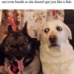 Angry dog scared dog | When your girl is venting about her bad day and you just have to sit there and not even breath so she doesn't gut you like a fish: | image tagged in angry dog scared dog | made w/ Imgflip meme maker