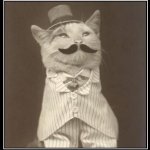 Cat with Mustache and Top Hat
