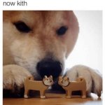 Now Kith