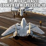 air force staring contest | NOW YOU CAN SEE THE WILD F-14 AS IT LOOKS AT A HELPLESS FA-18 | image tagged in air force staring contest | made w/ Imgflip meme maker