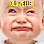 upset baby | OLD YELLER | image tagged in upset baby | made w/ Imgflip meme maker