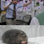 Charlie Day Explains to a Seal meme