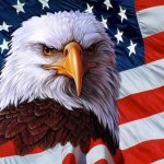flag