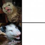 Possum comparison meme