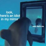 idiot in the mirror | look, there’s an idiot in my mirror; wait, that’s me | image tagged in dolphin in the mirror | made w/ Imgflip meme maker