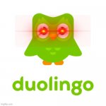 Duolingo | image tagged in duolingo | made w/ Imgflip meme maker