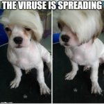 karen dog | THE VIRUSE IS SPREADING | image tagged in karen dog | made w/ Imgflip meme maker