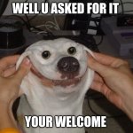 Forced To Smile Dog | WELL U ASKED FOR IT; YOUR WELCOME | image tagged in forced to smile dog | made w/ Imgflip meme maker