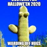 Hallowe'en in 2020 | COSTUME FOR HALLOWE'EN 2020; WARDING OFF HUGS 
- PRO LEVEL | image tagged in 2020,halloween,costume,cactus,hug,memes | made w/ Imgflip meme maker