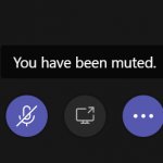 You have been muted