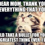 I love you Mommy ❣️❣️ | DEAR MOM, THANK YOU FOR EVERYTHING THAT YOU DO. I WOULD TAKE A BULLET FOR YOU. YOU ARE THE GREATEST THING EVER. I LOVE YOU | image tagged in cute kitten | made w/ Imgflip meme maker
