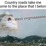 I bet you have this stuck in your head now | Country roads take me home to the place that I belong; West virginiaaaaaaaa | image tagged in country cat,memes,country music,funny | made w/ Imgflip meme maker