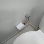 fail toilet