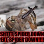 Dead spider | SHTTT, SPIDER DOWN REPEAT, SPIDER DOWN!!!!!!!!! | image tagged in funny | made w/ Imgflip meme maker