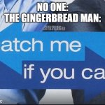 Run run | NO ONE:
THE GINGERBREAD MAN: | image tagged in catch me if you can | made w/ Imgflip meme maker