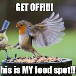 Get off! | GET OFF!!!! This is MY food spot!!!! | image tagged in get off | made w/ Imgflip meme maker