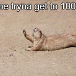 lol | me tryna get to 100k | image tagged in so close | made w/ Imgflip meme maker