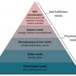 Maslow's Hierarchy of Needs