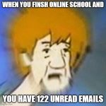 shaggy u slackin my guy | WHEN YOU FINSH ONLINE SCHOOL AND YOU HAVE 122 UNREAD EMAILS | image tagged in shaggy,school,homework | made w/ Imgflip meme maker