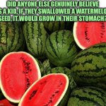 What other things were you told or believed as a kid? | DID ANYONE ELSE GENUINELY BELIEVE
AS A KID, IF THEY SWALLOWED A WATERMELON
SEED, IT WOULD GROW IN THEIR STOMACH? | image tagged in watermelons,seeds,eat,stomach,growing up,memes | made w/ Imgflip meme maker