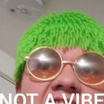 YOU ARE NOT A VIBE meme