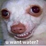 u want water?