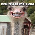 this is legit what i looked like in middle school | MIDDLE SCHOOL PICTURES BE LIKE | image tagged in middle school,funny memes | made w/ Imgflip meme maker