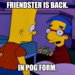 Alf is back - Milhouse from The Simpsons | FRIENDSTER IS BACK. IN POG FORM. | image tagged in alf is back - milhouse from the simpsons | made w/ Imgflip meme maker