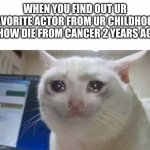 RIP Robbie from lazy town | WHEN YOU FIND OUT UR FAVORITE ACTOR FROM UR CHILDHOOD SHOW DIE FROM CANCER 2 YEARS AGO | image tagged in lazytown,crying cat | made w/ Imgflip meme maker