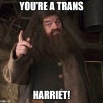 hagrid  | YOU'RE A TRANS; HARRIET! | image tagged in hagrid,harry potter,jk rowling,transgender | made w/ Imgflip meme maker