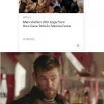 That’s what heroes do | image tagged in that s what heroes do,dogs,marvel,thor,doggo,doggos | made w/ Imgflip meme maker