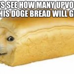 Doge bread | LETS SEE HOW MANY UPVOTES THIS DOGE BREAD WILL GET | image tagged in memes | made w/ Imgflip meme maker