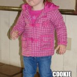 did somebody say | DID SOMEBODY SAY; COOKIE | image tagged in did somebody say | made w/ Imgflip meme maker