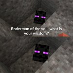 Enderman of the soil meme