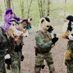 Furries on the attac 2